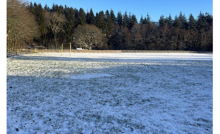 Image 4 of 4