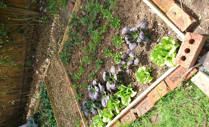 Image 4 of 4