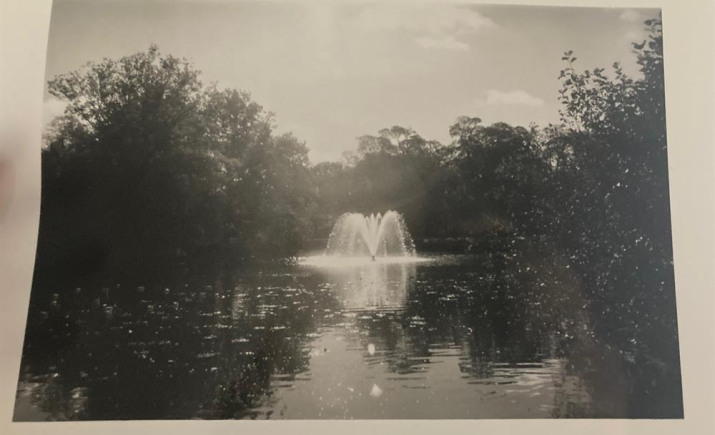 Image 5 of 12