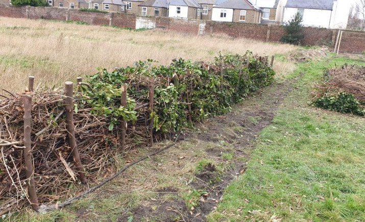 Image 34 of 52