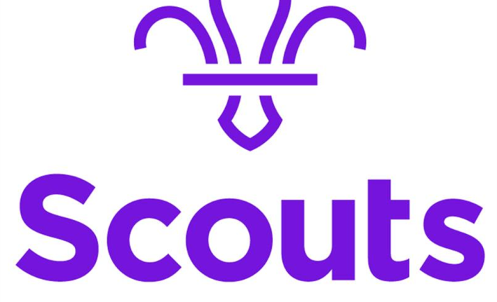 1-st-fatfield-scouts-logo.jpg