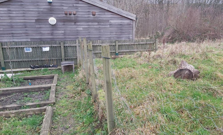 Image 7 of 12