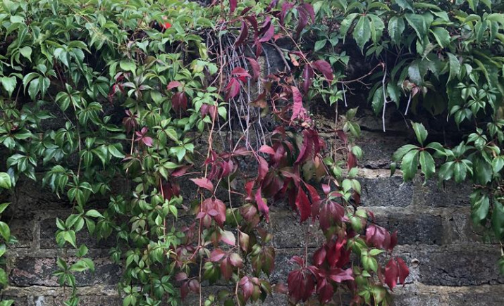Image 18 of 40