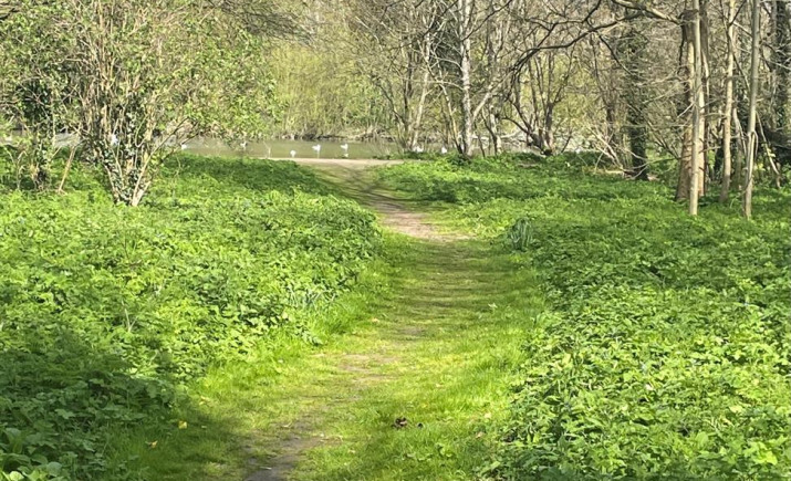 Image 2 of 7