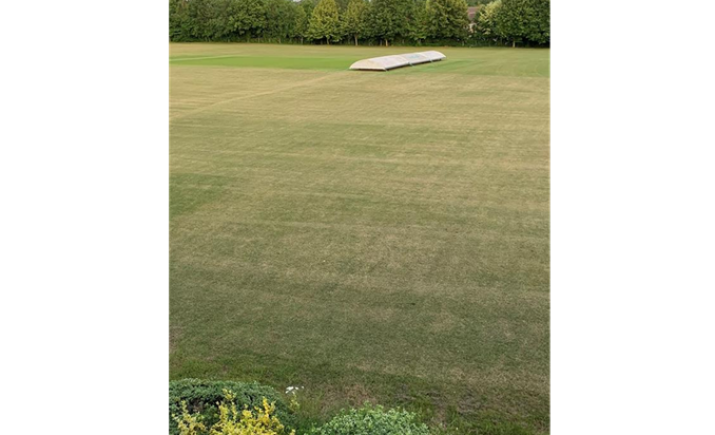 Image 3 of 4
