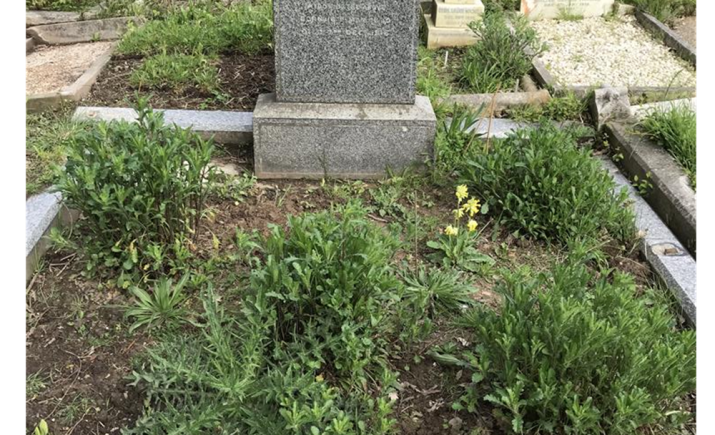 Image 2 of 23