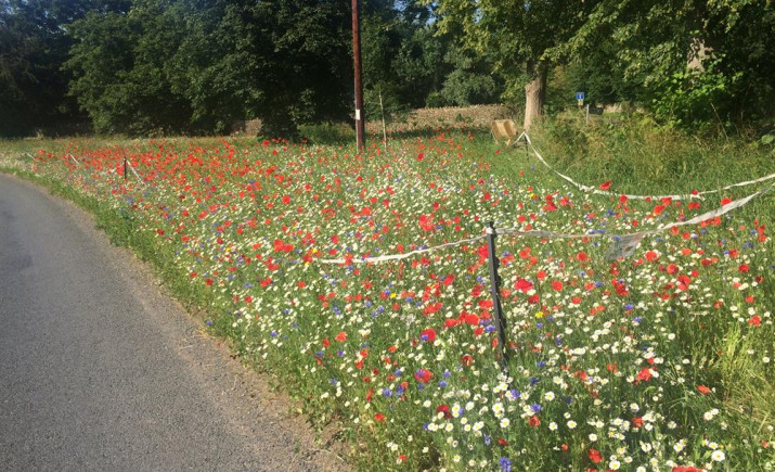 Image 6 of 12
