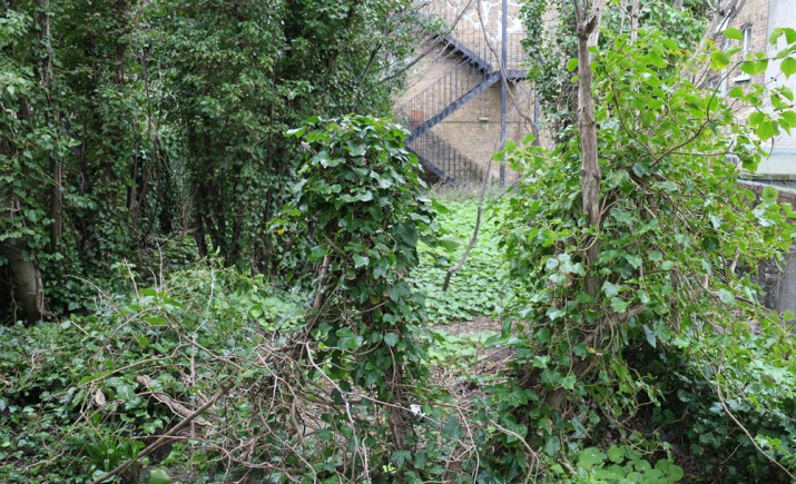 Image 5 of 9