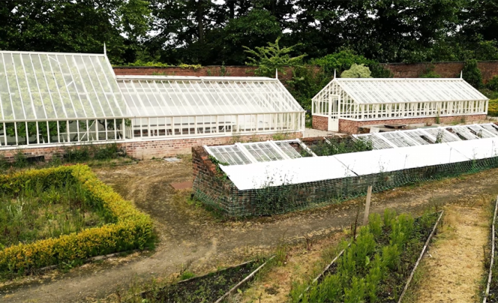 Image 7 of 11