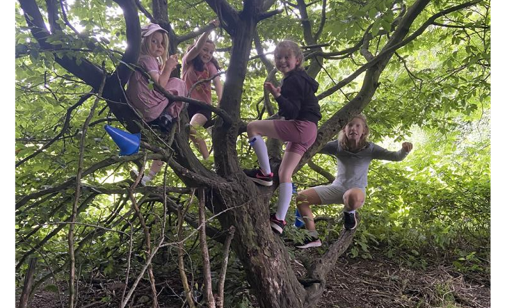 Image 4 of 4