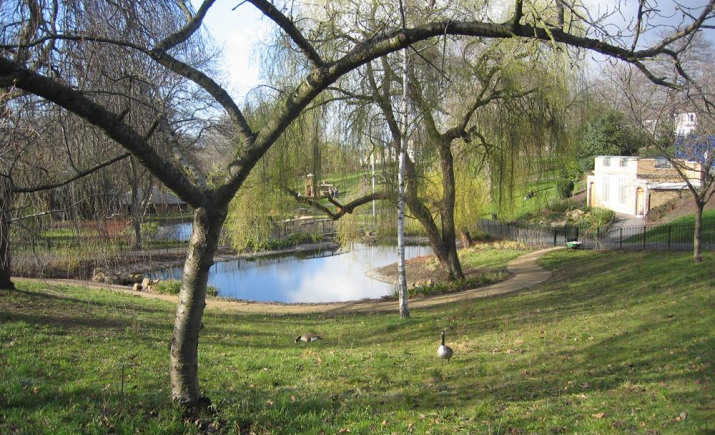 meadow-area-in-2005.jpg