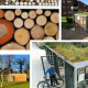 Growing Sudley: Biodiversity Bins Bikes