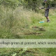 To create wildflower & wildlife areas