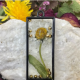 Walsall Jewellery Making: Heritage & Activity