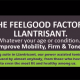 Save the FeelGood Factory