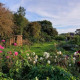 KCG community & wildlife haven project
