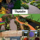 Summerfield Community Sensory Garden