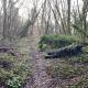 Withington Community Development Project