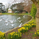 musicRevive Ealing 