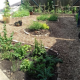 Community Garden based in a GP surgery