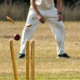 Cricket in Somerleyton