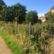 TYS2 Piggeries Orchard