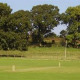 Whitchurch Wayfarers Cricket Restart