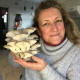 Margate Mushrooms