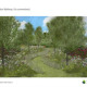 A Centenary Rose Garden for the future