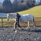 Extended arena for Centred Horseplay