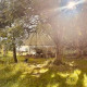 Community forest school in Pirbright