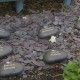 Hope therapeutic and relaxation garden
