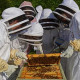 Bee Workers to Key Workers 