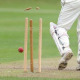 Support Brighton Xiles Cricket Club