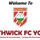 New Southwick FC youth section
