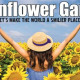 Join the sunflower Gang