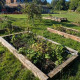 Growing Together: Enfield School Gardens