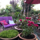 Sustainable Urban Community Garden