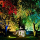 Lighting Up Pelsall  