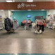 Little Stars Community Shop   