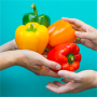 Community Fridge Network - Hubbub