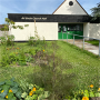 Sharon Rossiter 