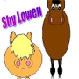 Shy Lowen Horse and Pony Sanctuary