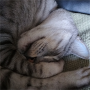 zet8NXN0Bw f8b5TgN?qn