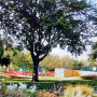 Elmhurst Playground Association
