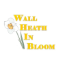 Wall Heath In Bloom