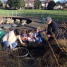 Friends of Agnes Riley Gardens