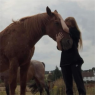 kent equine facilitated learning CIC