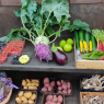 Friends of Bedfords Park Walled Garden