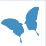 The Butterfly Effected CIC